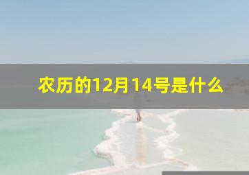 农历的12月14号是什么