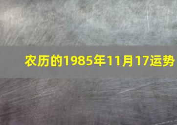 农历的1985年11月17运势