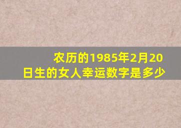 农历的1985年2月20日生的女人幸运数字是多少