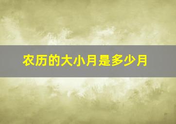 农历的大小月是多少月