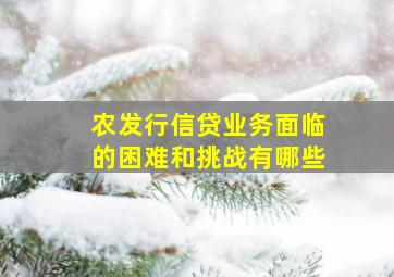 农发行信贷业务面临的困难和挑战有哪些