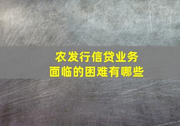 农发行信贷业务面临的困难有哪些