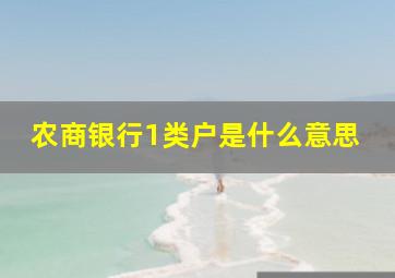 农商银行1类户是什么意思