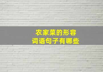 农家菜的形容词语句子有哪些