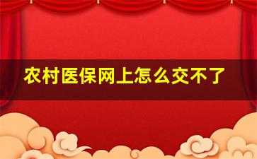 农村医保网上怎么交不了