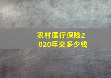 农村医疗保险2020年交多少钱