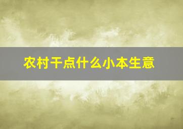 农村干点什么小本生意