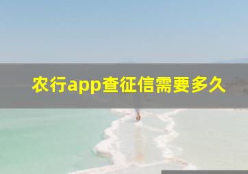 农行app查征信需要多久