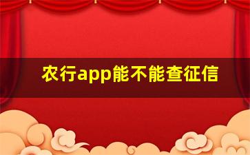 农行app能不能查征信