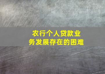 农行个人贷款业务发展存在的困难