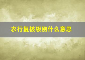 农行复核级别什么意思