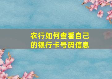 农行如何查看自己的银行卡号码信息