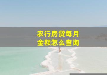 农行房贷每月金额怎么查询