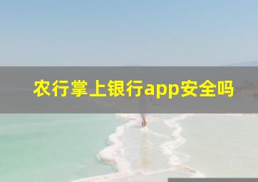 农行掌上银行app安全吗