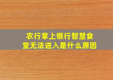 农行掌上银行智慧食堂无法进入是什么原因