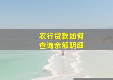 农行贷款如何查询余额明细