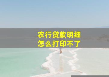 农行贷款明细怎么打印不了