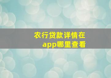 农行贷款详情在app哪里查看