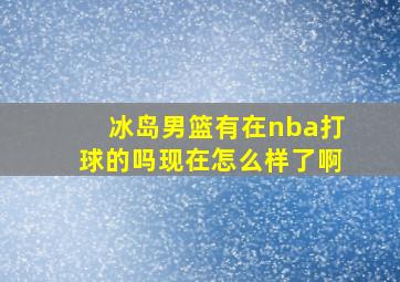 冰岛男篮有在nba打球的吗现在怎么样了啊