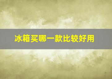 冰箱买哪一款比较好用