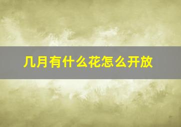 几月有什么花怎么开放