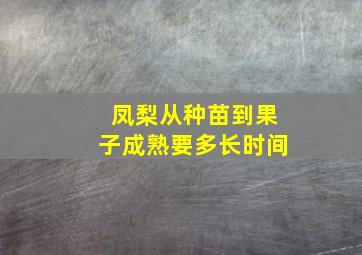 凤梨从种苗到果子成熟要多长时间