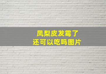 凤梨皮发霉了还可以吃吗图片