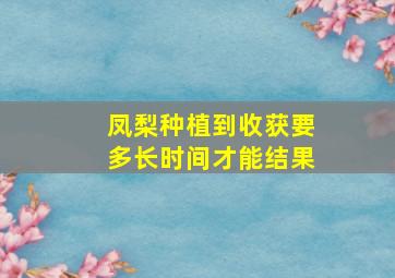 凤梨种植到收获要多长时间才能结果