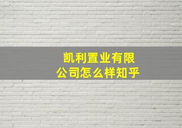 凯利置业有限公司怎么样知乎