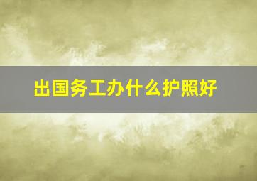 出国务工办什么护照好