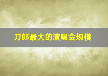 刀郎最大的演唱会规模