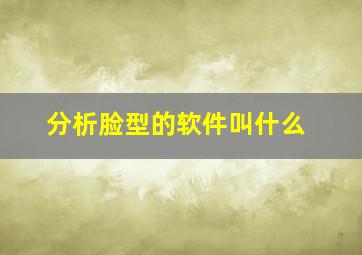 分析脸型的软件叫什么