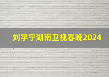 刘宇宁湖南卫视春晚2024