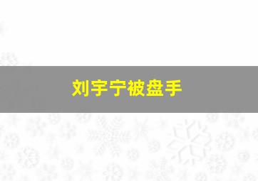 刘宇宁被盘手