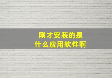 刚才安装的是什么应用软件啊