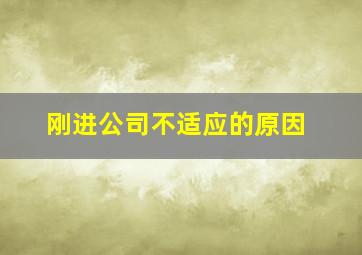 刚进公司不适应的原因