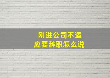 刚进公司不适应要辞职怎么说