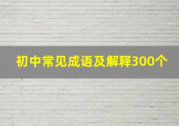 初中常见成语及解释300个