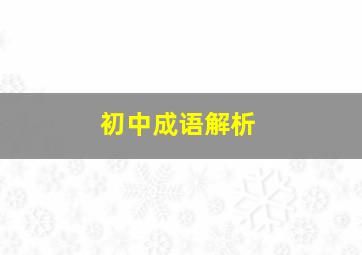 初中成语解析