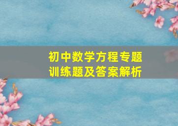 初中数学方程专题训练题及答案解析