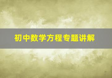 初中数学方程专题讲解