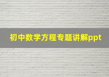 初中数学方程专题讲解ppt