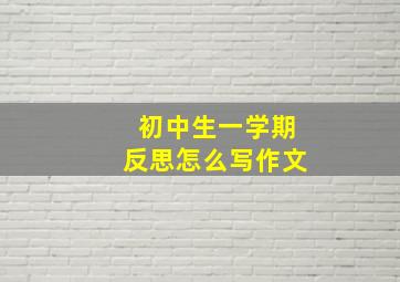 初中生一学期反思怎么写作文