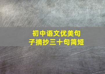 初中语文优美句子摘抄三十句简短