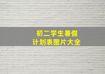 初二学生暑假计划表图片大全