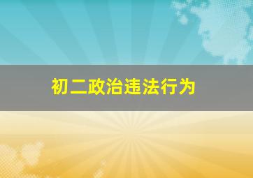 初二政治违法行为