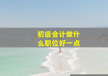 初级会计做什么职位好一点