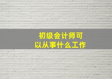 初级会计师可以从事什么工作