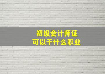 初级会计师证可以干什么职业