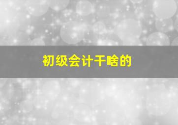 初级会计干啥的